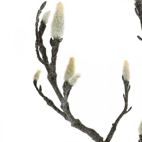 Product Spring Magnolia Branch Bud Artificial Branch Brown White L100cm