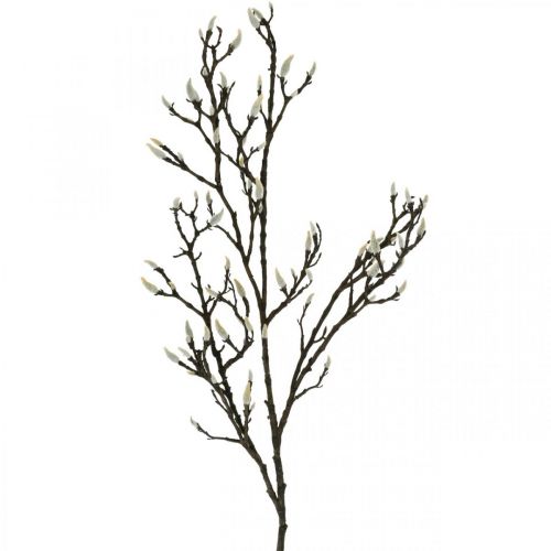 Floristik24 Artificial Magnolia Branch Spring Decoration Branch with Buds Brown White L135cm