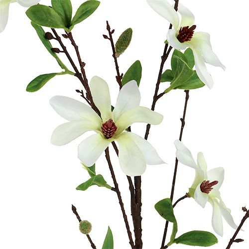 Product Magnolia branch white-green 94cm