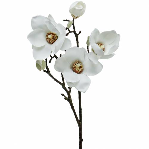 Floristik24 Magnolia branch white Decorative branch magnolia artificial flower