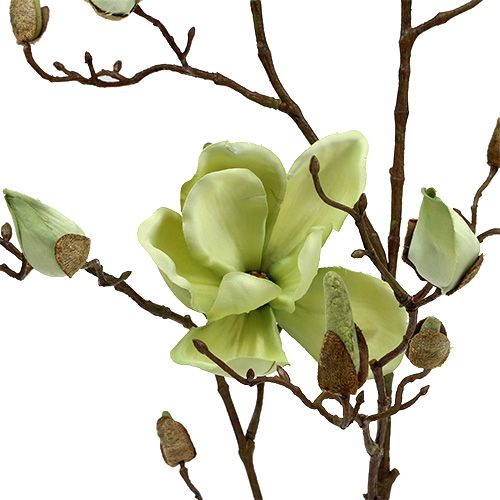 Product Magnolia branch green L110cm