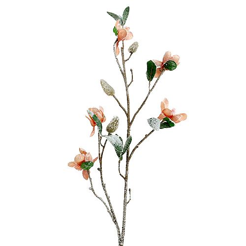Floristik24 Magnolia branch light pink L 82cm