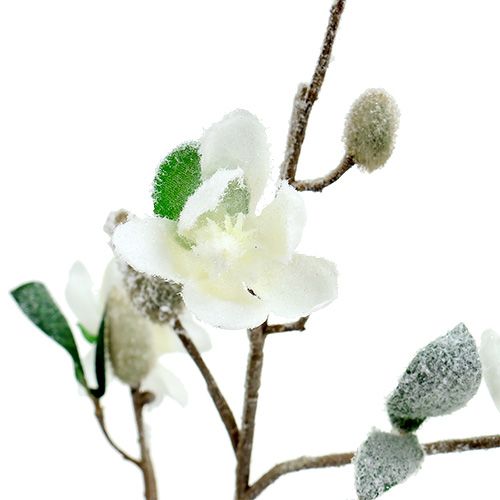 Product Magnolia branch white L 82cm with snow
