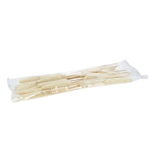 Product Corn cobs bleached on stick 20 pcs