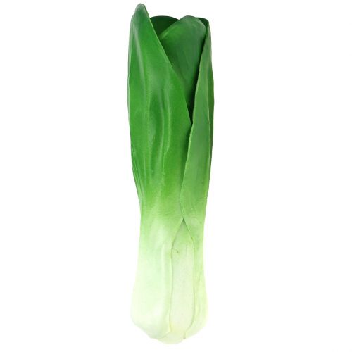 Floristik24 Decorative vegetable chard 25.5cm
