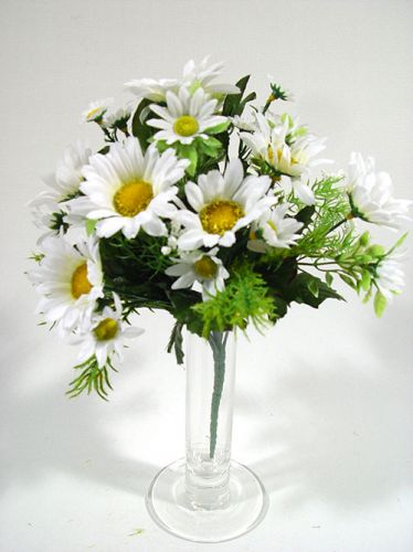 Small bouquet of daisies