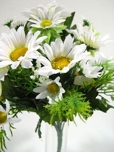Floristik24 Small bouquet of daisies