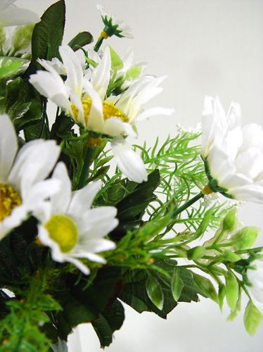 Floristik24 Small bouquet of daisies