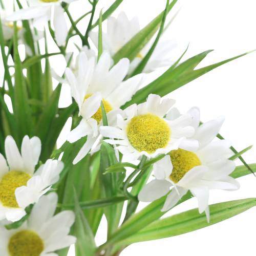 Product Bouquet of daisies with decorative grass 37cm