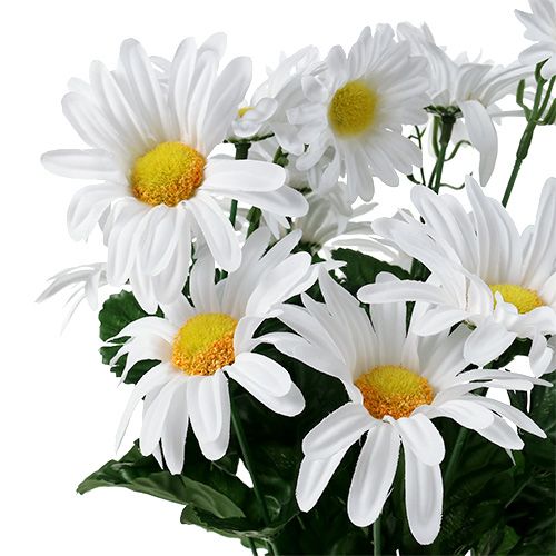 Product Daisy bouquet white 45cm