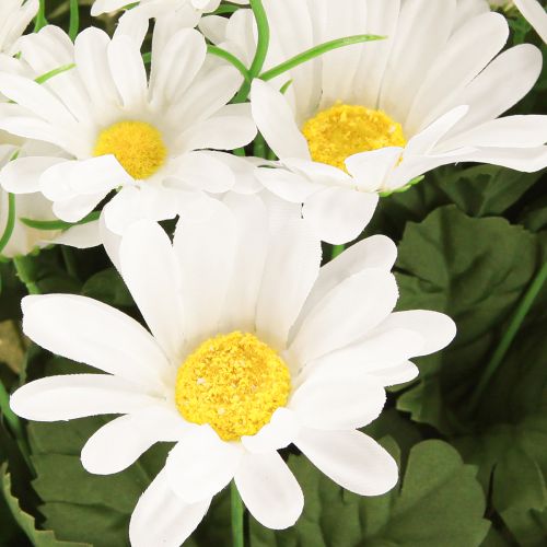 Product Daisy bouquet white 45cm