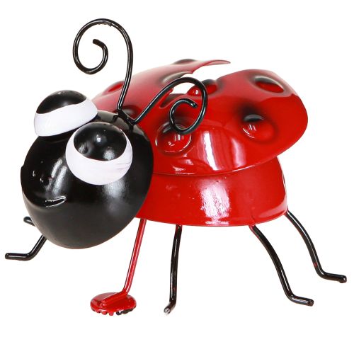 Floristik24 Ladybug Bee Metal Decoration with Magnet Assorted 9.5cm 2pcs