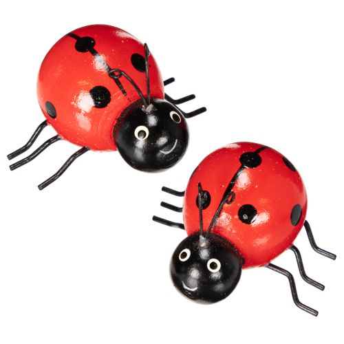 Floristik24 Wooden ladybugs/lucky bugs as cute decorations for the home, 5cm, 6 pieces