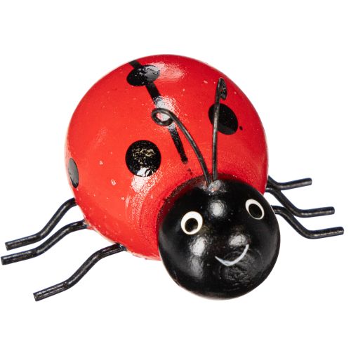 Product Wooden ladybugs/lucky bugs as cute decorations for the home, 5cm, 6 pieces