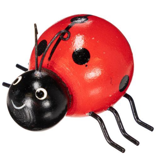 Product Wooden ladybugs/lucky bugs as cute decorations for the home, 5cm, 6 pieces