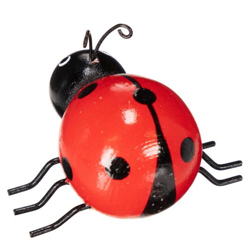 Product Wooden ladybugs/lucky bugs as cute decorations for the home, 5cm, 6 pieces