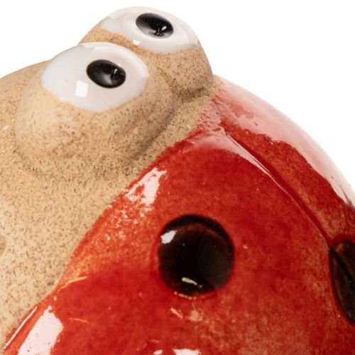 Product Ladybug garden stakes, decorative eye-catcher for garden decoration, 25cm, 4 pieces