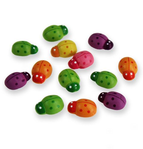 Floristik24 Wooden ladybirds for gluing 2cm colored assorted 220 pcs