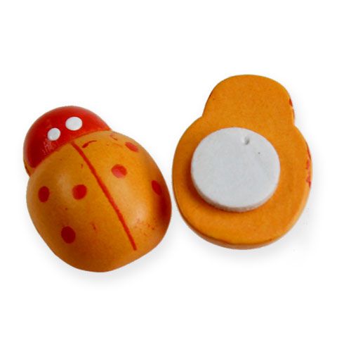 Floristik24 Wooden ladybirds for gluing 2cm colored assorted 220 pcs