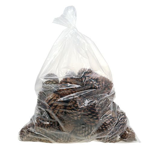 Product Maritima cones 10/14 natural 50 pieces
