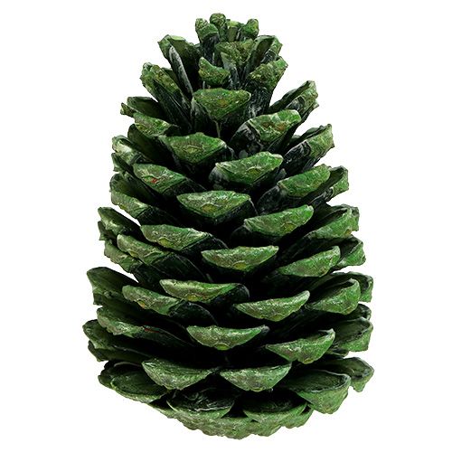 Product Maritima cones 10cm - 16cm green frosted 12 pcs