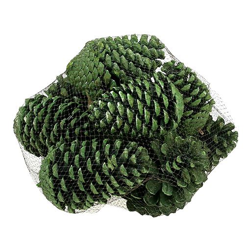 Product Maritima cones 10cm - 16cm green frosted 12 pcs