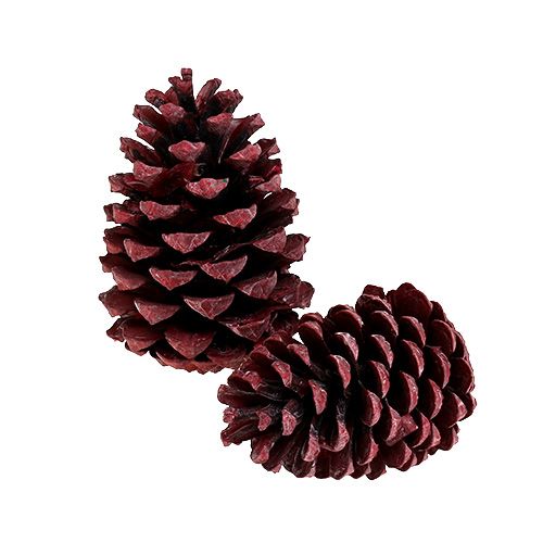 Product Maritima cones 10-15cm red frosted 12 pcs
