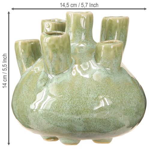 Product Maritime Decoration Vase Coral Design Light Green Ø14.5cm H14cm
