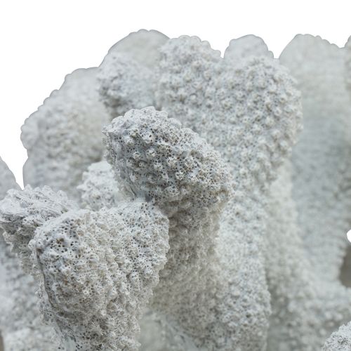 Floristik24 Maritime decoration coral polyresin white 38cm × 44cm × 27cm