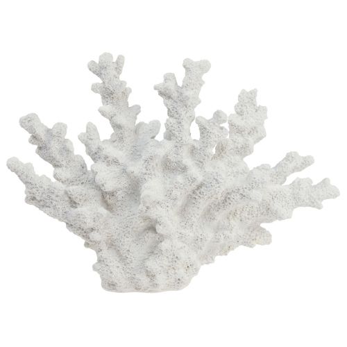 Floristik24 Maritime decoration coral polyresin white 18.5×26cm