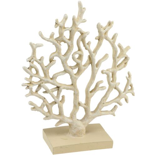 Floristik24 Maritime table decoration coral beige decoration coral polyresin H20cm