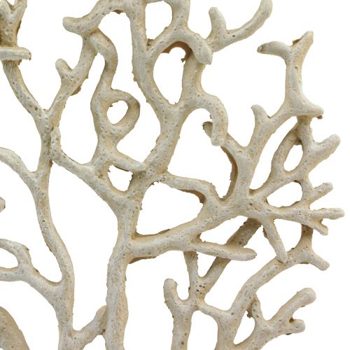 Floristik24 Maritime table decoration coral beige decoration coral polyresin H20cm