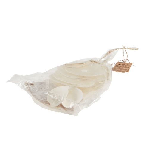 Product Maritime decoration hanger Capiz shell with fish white 39cm