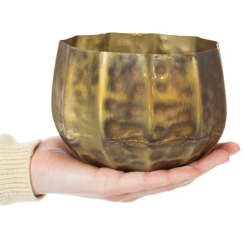 Metal decorative flower pot, brass, Ø22/18/14cm, set of 3 | Floristik24.ie