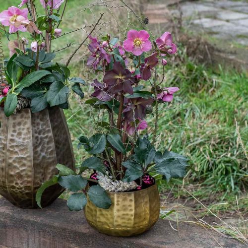 Product Metal decorative flower pot, brass, Ø22/18/14cm, set of 3