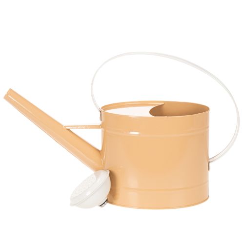 Metal decorative watering can, vintage look, light brown, 52.5cm - planter for table decoration &amp; summer decoration | Floristik24.ie