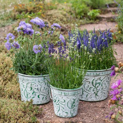 Product Metal pots with handles, planters with embossing white, green shabby chic H20.5/18.5/16cm Ø25.5/20.5/15.5cm set of 3