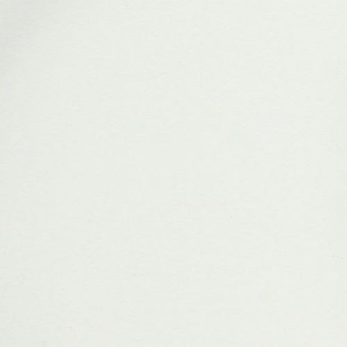 Product Tray with practical handles for versatile use in the home and catering industry, 22cm