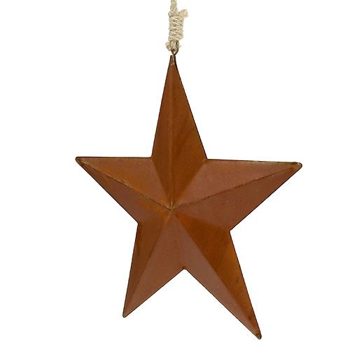 Floristik24 Metal star to hang on grate 21cm