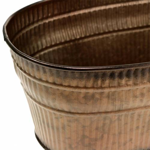 Floristik24 Plant bowl oval orange, brown, green 26×13.5cm H11cm set of 3