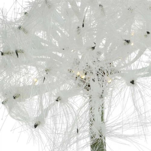 Floristik24 LED dandelion for battery white artificial flower lighting H50cm