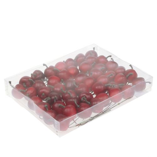 Floristik24 Mini apple on wire Ø2.5cm 48 pcs