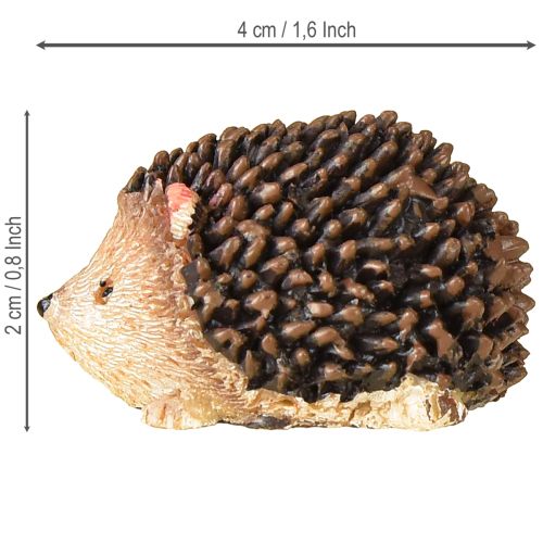 Floristik24 Mini hedgehog decoration figures autumn hand-painted 4×2.5×2cm 6 pieces