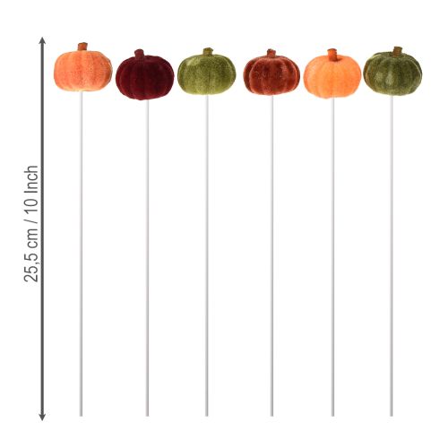 Floristik24 Mini pumpkin decoration on a stick autumn decoration 6 colors Ø4cm 18 pcs