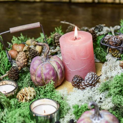 Floristik24 Mini pumpkin set orange, lilac Ø6.5–7cm 6 pcs