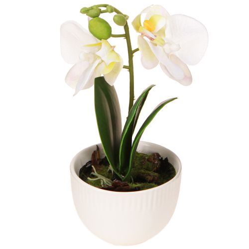 Floristik24 Mini orchids artificial white orchids in a pot 15cm