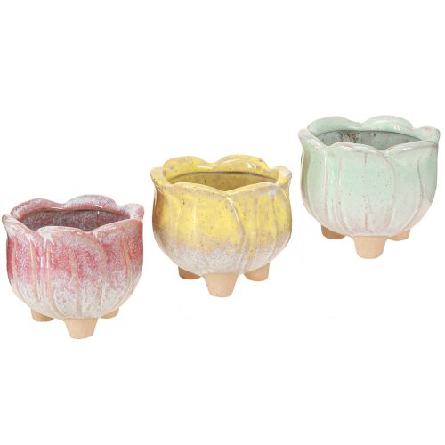 Product Mini planter ceramic pot flower assorted Ø8cm H7cm 3pcs