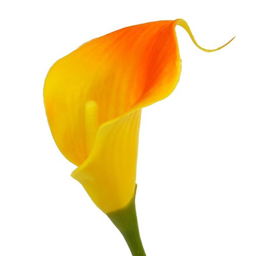 Product Mini Calla artificial yellow 28cm 12 pcs
