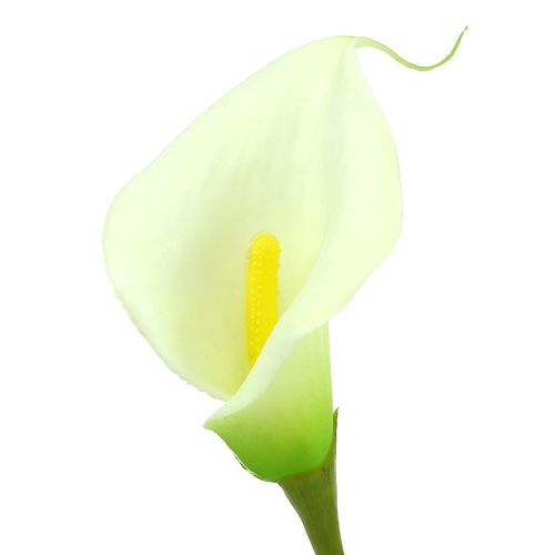 Floristik24 Mini Calla artificial white L 28cm 12 pcs