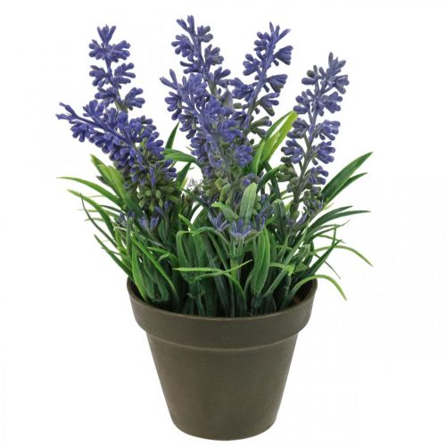 Floristik24 Mini lavender in a pot artificial plant lavender decoration H16cm